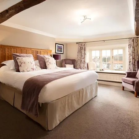 The Black Swan - The Collection Group イン