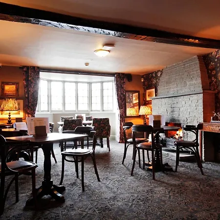 Han/Misafirhane The Black Swan - The Collection Group