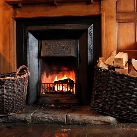 The Black Swan - The Collection Group