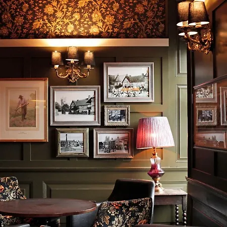 Han/Misafirhane The Black Swan - The Collection Group