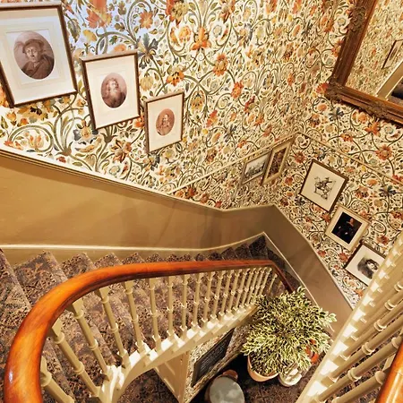 The Black Swan - The Collection Group