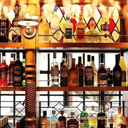 The Black Swan - The Collection Group هلمسلي