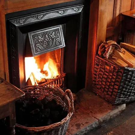 The Black Swan - The Collection Group هلمسلي