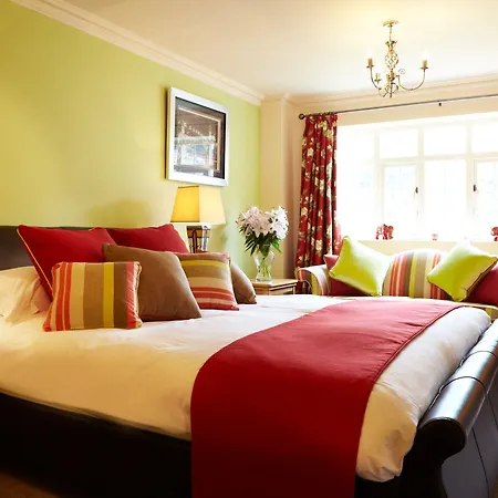 イン The Black Swan - The Collection Group