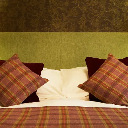 The Black Swan - The Collection Group