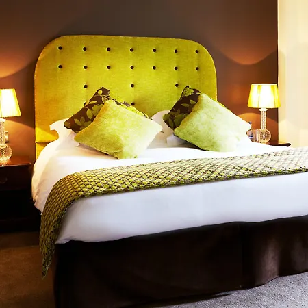 Han/Misafirhane The Black Swan - The Collection Group