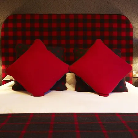 The Black Swan - The Collection Group イン