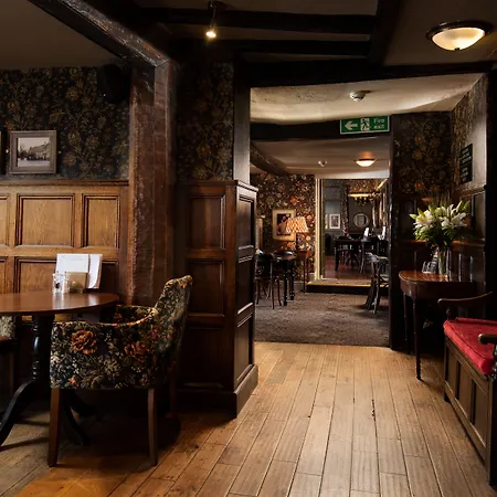 Han/Misafirhane The Black Swan - The Collection Group