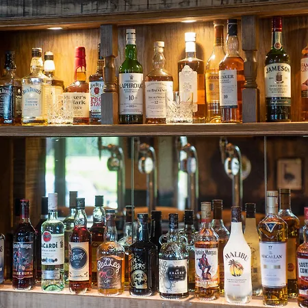 The Black Swan - The Collection Group Han/Misafirhane