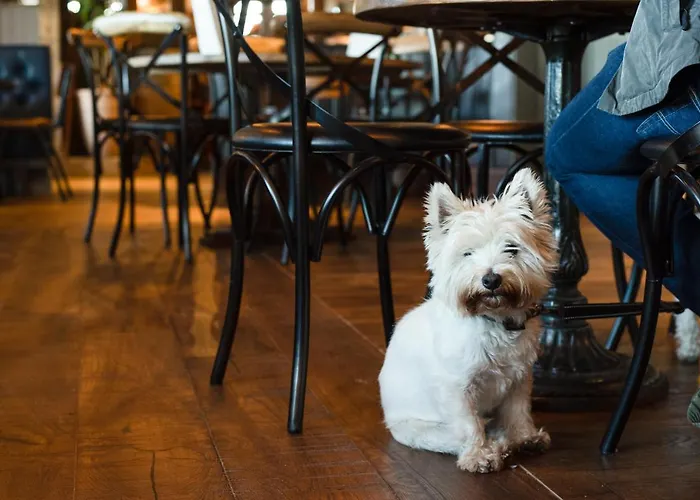 Locanda The Black Swan - The Collection Group