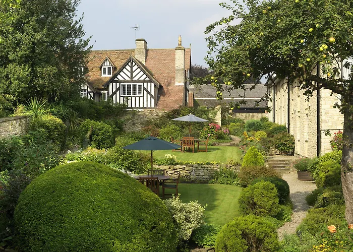 The Black Swan - The Collection Group 4*